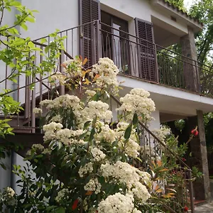 Con Encanto L'estany Apartamento